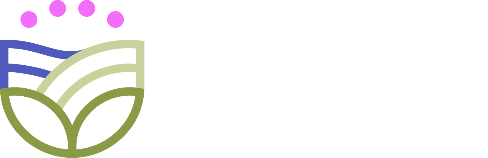 Ministerio de Salud Chaco