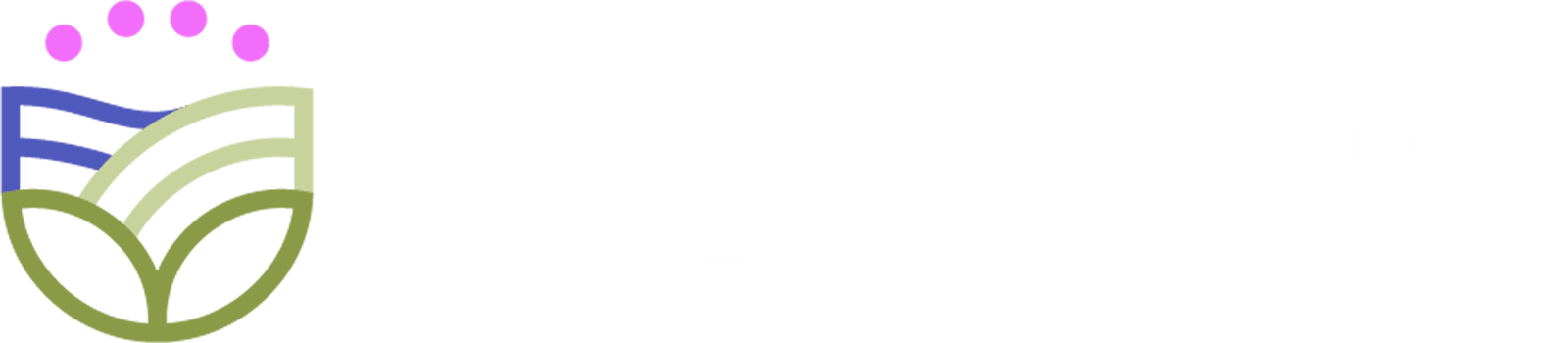 Ministerio de Salud Chaco